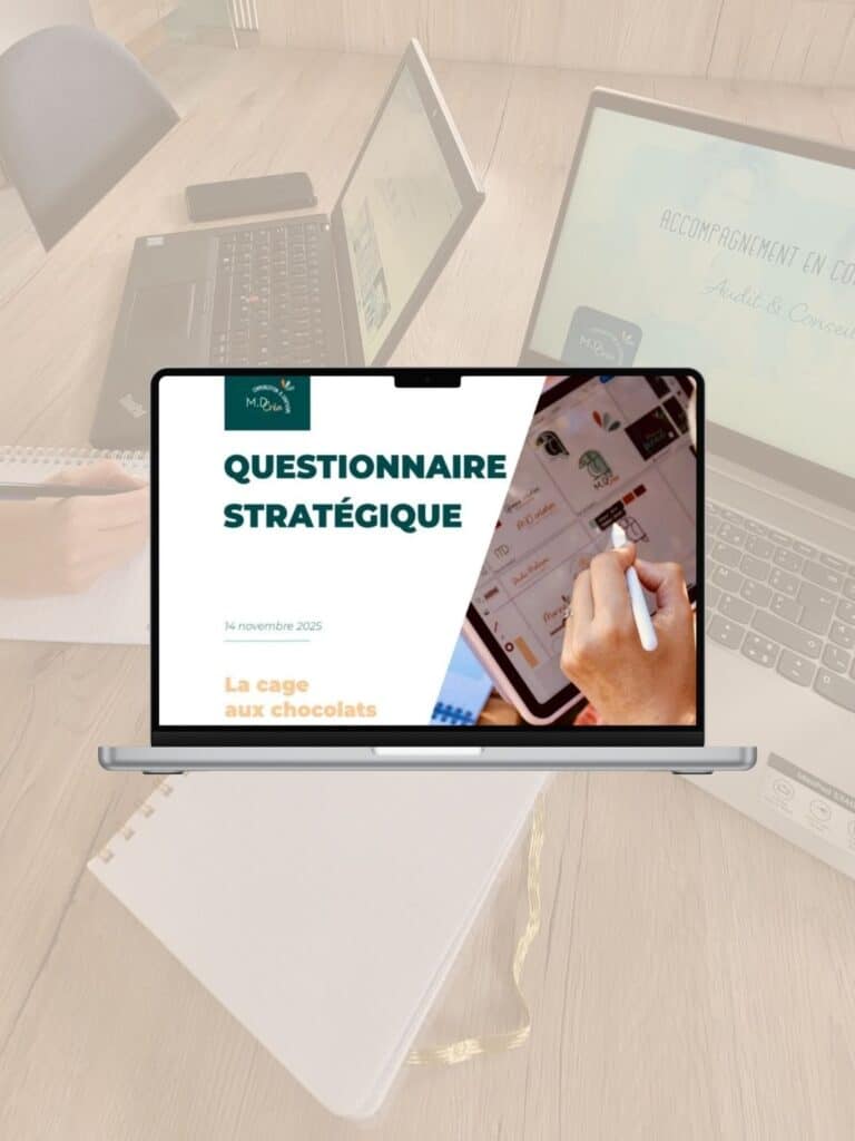mockup questionnaire strategique
